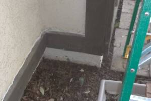 Painting Paint Fresh Coat Home - Painting