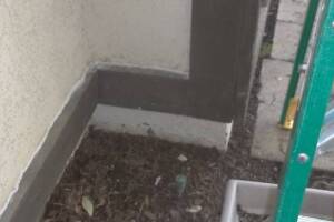 Painting Paint Fresh Coat Home - Painting