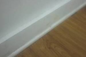 Painting Paint Retail Store Repairs - Painting