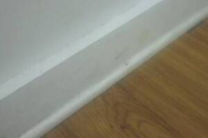 Painting Paint Retail Store Repairs - Painting