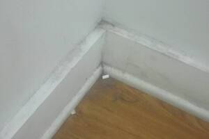 Painting Paint Retail Store Repairs - Painting