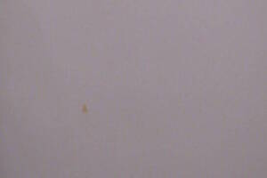 Painting Paint Retail Store Repairs - Painting
