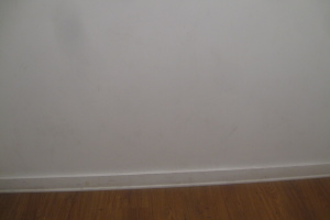 Painting Paint Retail Store Repairs - Painting