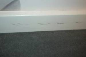 Painting Paint Retail Store Touchups - Painting