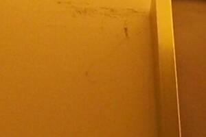 Painting Paint Retail Store Touchups - Painting