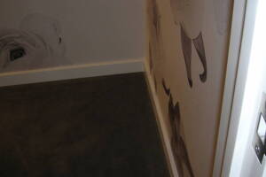 Painting Paint Retail Store Touchups - Painting