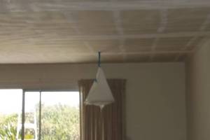 Painting Texture Ceiling Orange Peel - Painting