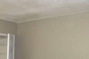 Painting Texture Ceiling Orange Peel - Painting
