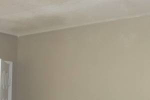 Painting Texture Ceiling Orange Peel - Painting