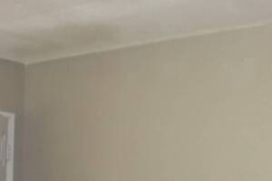 Painting Texture Ceiling Orange Peel - Painting