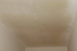 Painting Texture Ceiling Orange Peel - Painting