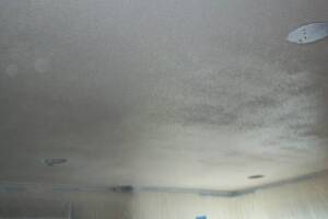 Painting Texture Ceiling Touchup - Painting