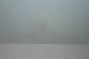Painting Texture Drywall Ceiling Repairs - Painting