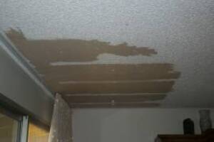 Painting Texture Drywall Ceiling Repairs - Painting