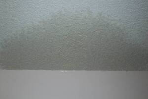 Painting Texture Drywall Ceiling Repairs - Painting