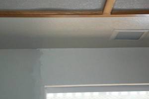 Painting Texture Kitchen Fresh Coat - Painting
