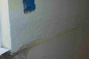 Painting Texture Kitchen Fresh Coat - Painting