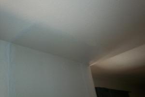 Painting Texture Kitchen Fresh Coat - Painting
