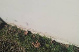 Painting Stucco Home Patching Repairs - Painting