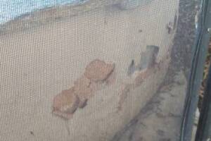 Painting Stucco Home Patching Repairs - Painting