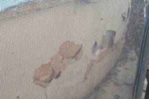 Painting Stucco Home Patching Repairs - Painting