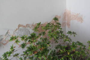Painting Stucco Home Patching Repairs - Painting