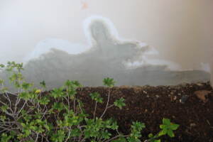 Painting Stucco Home Patching Repairs - Painting