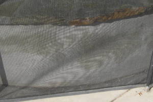 Painting Stucco Home Patching Repairs - Painting