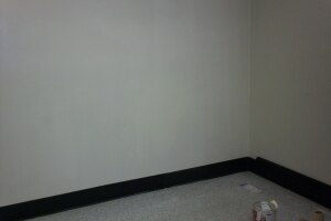 Painting Wallpaper Removal Branding - Painting