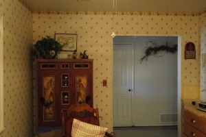 Painting Wallpaper Removal Home Paint - Painting