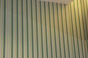 Painting Wallpaper Removal Retail Store - Painting