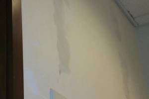 Painting Wallpaper Removal Retail Store - Painting