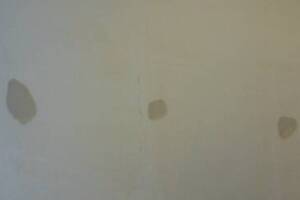 Painting Wallpaper Removal Retail Store - Painting