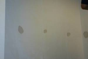 Painting Wallpaper Removal Retail Store - Painting
