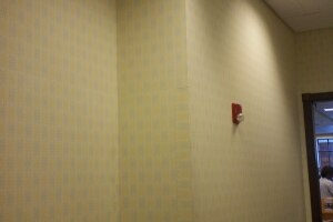 Painting Wallpaper Removal Retail Store - Painting