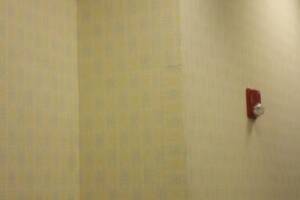 Painting Wallpaper Removal Retail Store - Painting