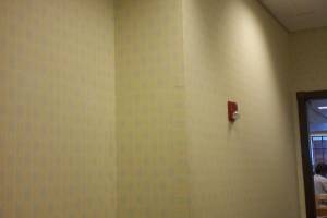 Painting Wallpaper Removal Retail Store - Painting