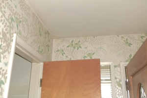 Painting Wallpaper Removal Whole Home - Painting