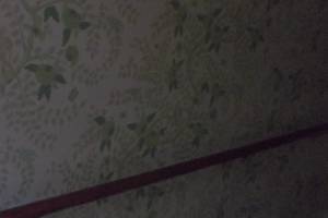 Painting Wallpaper Removal Whole Home - Painting