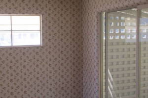Painting Wallpaper Removal Whole Home - Painting