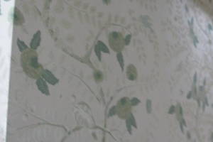 Painting Wallpaper Removal Whole Home - Painting