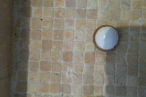 Plumbing Tub Shower Antique Bath Repairs - Plumbing