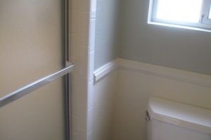 Plumbing Tub Shower Bath Remodel Redone - Plumbing