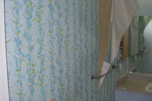 Plumbing Tub Shower Bath Remodel - Plumbing