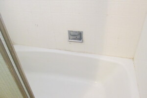 Plumbing Tub Shower Damage Remodel - Plumbing