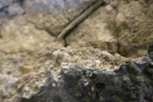 Plumbing Tub Shower Damage Remodel - Plumbing