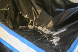 Plumbing Tub Shower Leak Caulking - Plumbing