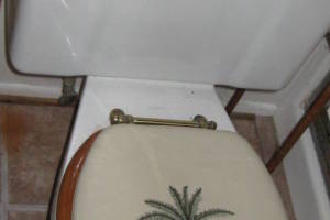 Plumbing Tub Shower Remodel Repairs - Plumbing