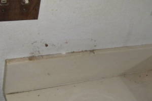 Plumbing Tub Shower Remodel Repairs - Plumbing
