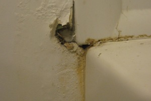 Plumbing Tub Shower Rot Damage Repairs - Plumbing